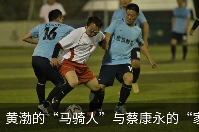 黄渤的“马骑人”与蔡康永的“家”的争斗